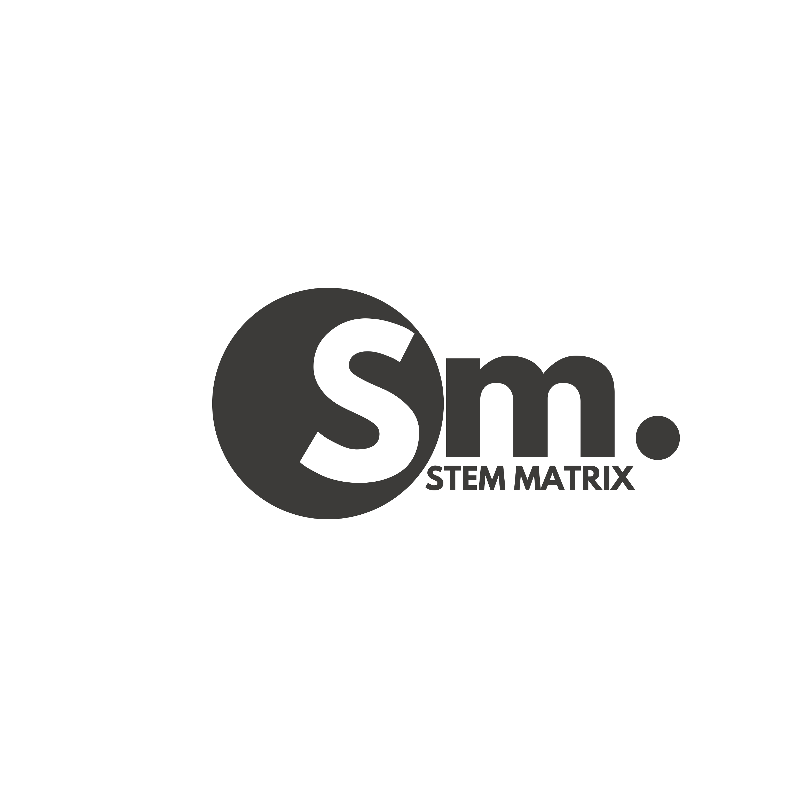STEM MATRIX logo
